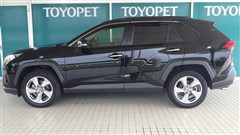 RAV4 ハイブリッドG