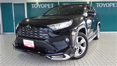 RAV4 G