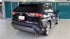 RAV4 G