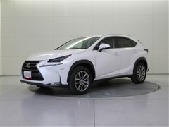 NX300h VER-L