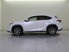 NX300h VER-L