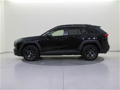 RAV4 HV アドベンチャー