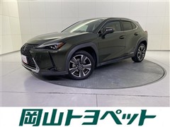 UX250h VER-C