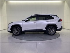 RAV4 G