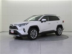 RAV4 G Zパッケージ