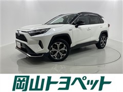 RAV4 PHV ブラックトーン