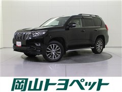ランドクルーザープラド TZ-G
