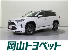 RAV4 G
