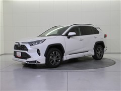 RAV4 G