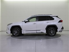 RAV4 G