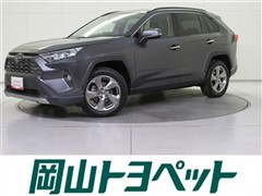 RAV4 G