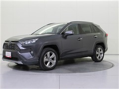 RAV4 G