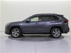 RAV4 G