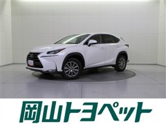 NX300h ヒョウジュンシャ