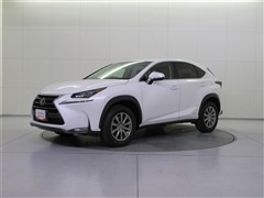 NX300h ヒョウジュンシャ