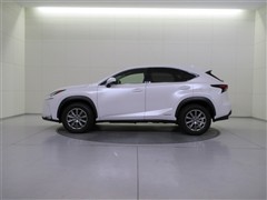 NX300h ヒョウジュンシャ