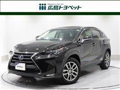 NX300h Iパッケージ