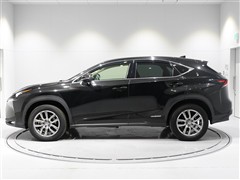 NX300h Iパッケージ