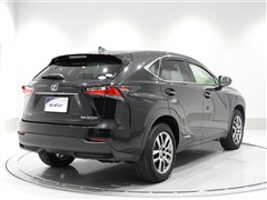 NX300h Iパッケージ