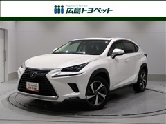 NX300h バージョンL