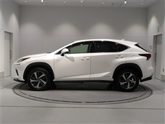 NX300h バージョンL