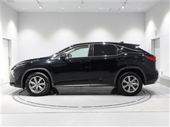 RX300 ヒョウジュンシャ