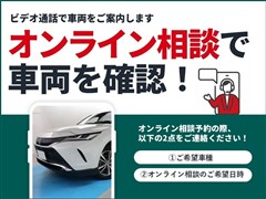 NX300h Fスポーツ