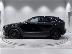 CX-30 20S ブラック トーン