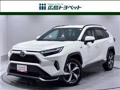 RAV4 PHV G