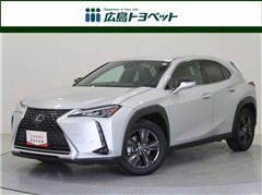 UX250h バージョンC