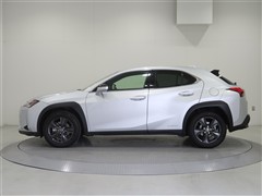 UX250h バージョンC