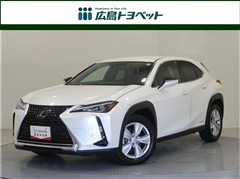 UX250h バージョンC