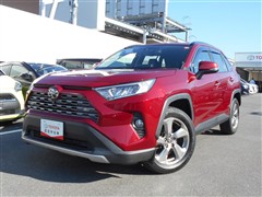 RAV4 G