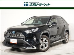 RAV4 ハイブリッドG