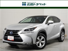 NX300h バージョンL