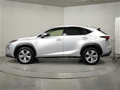 NX300h バージョンL