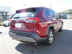RAV4 G