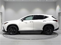 NX250 バージョンL