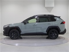 RAV4アドベンチャーオフロードP