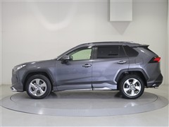 RAV4 G