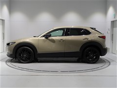 CX30 レトロスポーツエディション