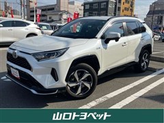RAV4 PHV G