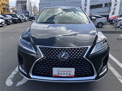 RX300 ヒョウジュンシャ