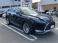 RX300 ヒョウジュンシャ