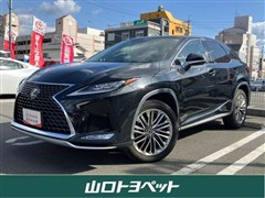 RX300 ヒョウジュンシャ
