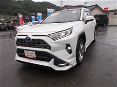 RAV4 ハイブリッドG