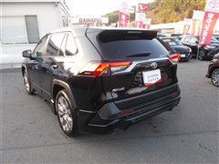 RAV4 G Zパッケージ