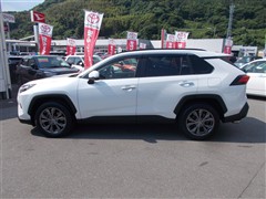 RAV4 HV G