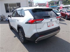 RAV4 HV G