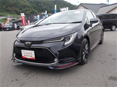 カローラツーリング WXB